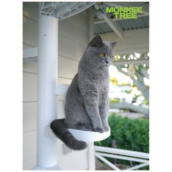 /assets/alt_6/XMTSP18WHT.jpg?20251222164803