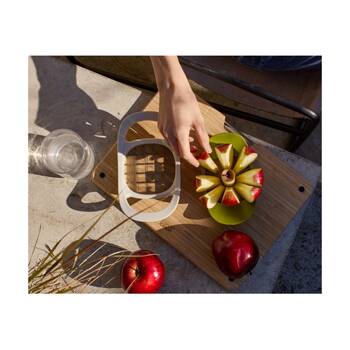 /assets/alt_7/1000065.jpg?20251204154659