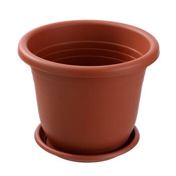 /assets/alt_7/47634.jpg?20250501165242