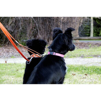 /assets/alt_7/500912_2PK.jpg?20250911130641