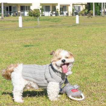 /assets/alt_7/920046.jpg?20230316095117