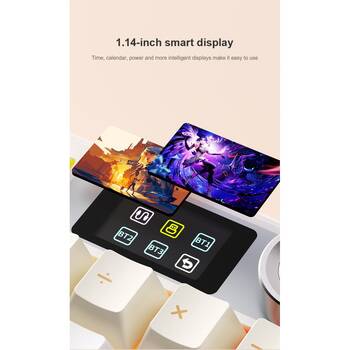 /assets/alt_7/CHW-F108PRO-GG-R.jpg?20260121101556