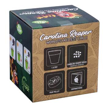 /assets/alt_7/MG-2066_2PK.jpg?20240718141651