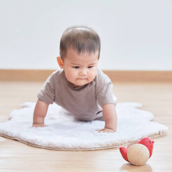 /assets/alt_7/PT5296.jpg?20250321141547