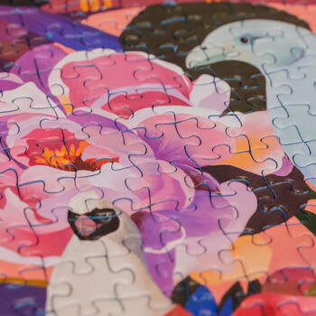 /assets/alt_7/RB00998-6.jpg?20250325174241