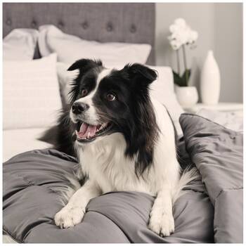 /assets/alt_7/T8988_2PK.jpg?20251107171519