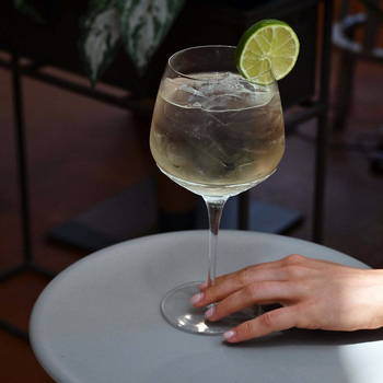 /assets/alt_8/6513245.jpg?20240520111937