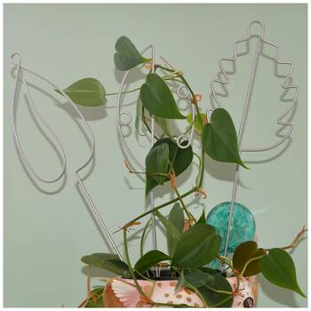 /assets/alt_8/CHW-52072.jpg?20251230161538