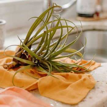 /assets/alt_8/DK-28879.jpg?20231127141514