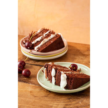 /assets/alt_8/JOBLPLAT19PK4.jpg?20250813102308