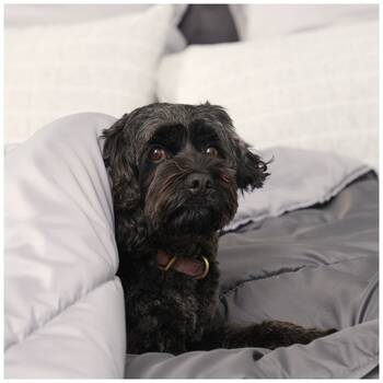 /assets/alt_8/T8988_2PK.jpg?20251107171518