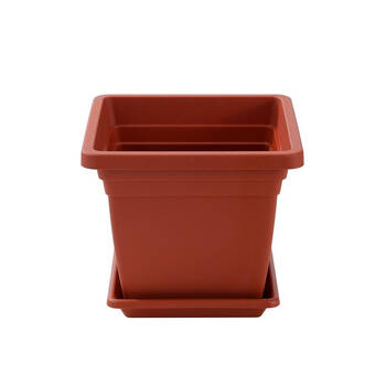 /assets/alt_8/UN-49621_6PK.jpg?20250814104616