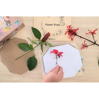 /assets/alt_8/WT377.jpg?20250811104529