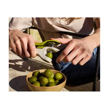 /assets/alt_9/1000066.jpg?20251204154645