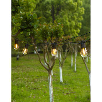 /assets/alt_9/10004640_2PK.jpg?20250807110037