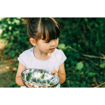 /assets/alt_9/110401C108.jpg?20250905101619