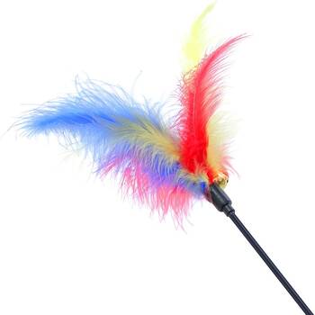 /assets/alt_9/CHW-36317_12PK.jpg?20260325191726