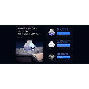 /assets/alt_9/CHW-68RX-075856.jpg?20260121100128