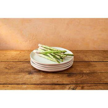 /assets/alt_9/JOBLPLAT27PK4_2PK.jpg?20250219164728