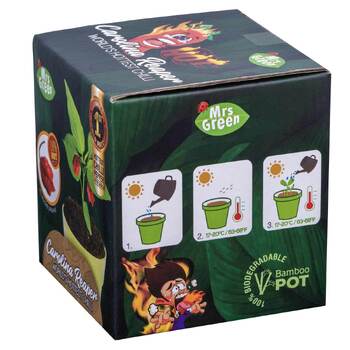 /assets/alt_9/MG-2066_2PK.jpg?20240718141649