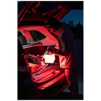 /assets/alt_9/MS-0196-0300.jpg?20251031111102