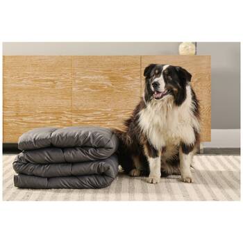 /assets/alt_9/T8988_2PK.jpg?20251107171517