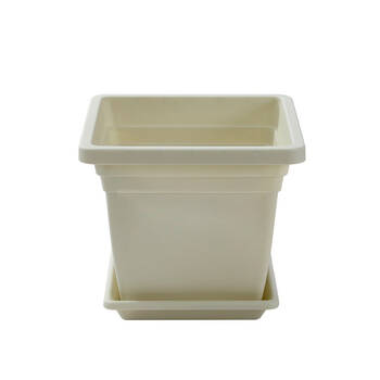 /assets/alt_9/UN-49621_6PK.jpg?20250814104615