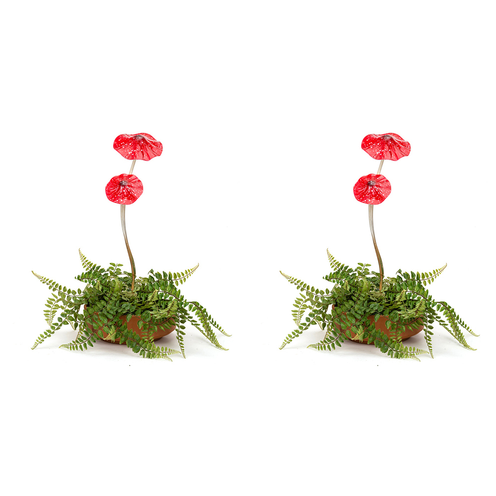 /assets/full/15716_2PK.jpg?20230810141547