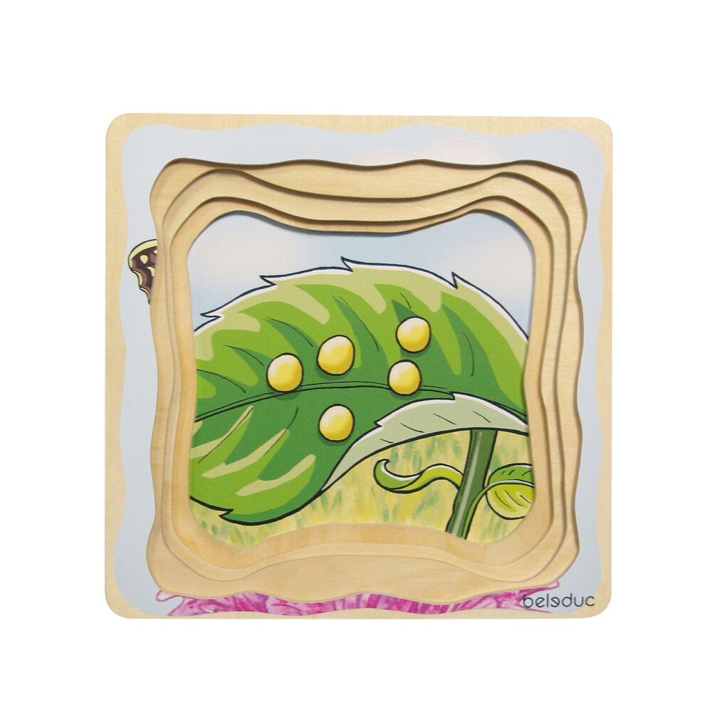 /assets/full/17054.jpg?20250731135114