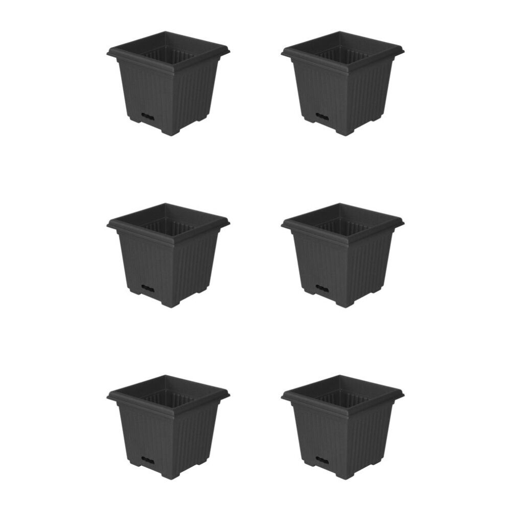 /assets/full/1944405_6PK.jpg?20260324141623