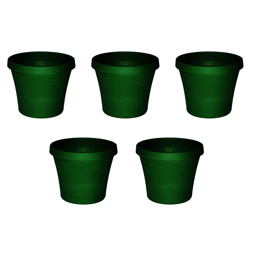 /assets/full/1971402_5PK.jpg?20240816163007