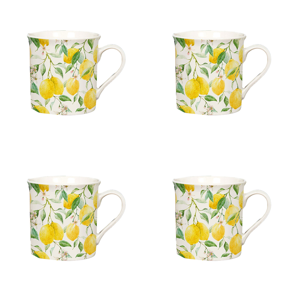 /assets/full/20486_4PK.jpg?20241002121933