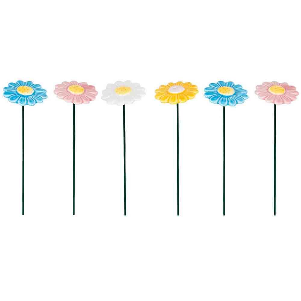 /assets/full/30825_6PK.jpg?20250827170054