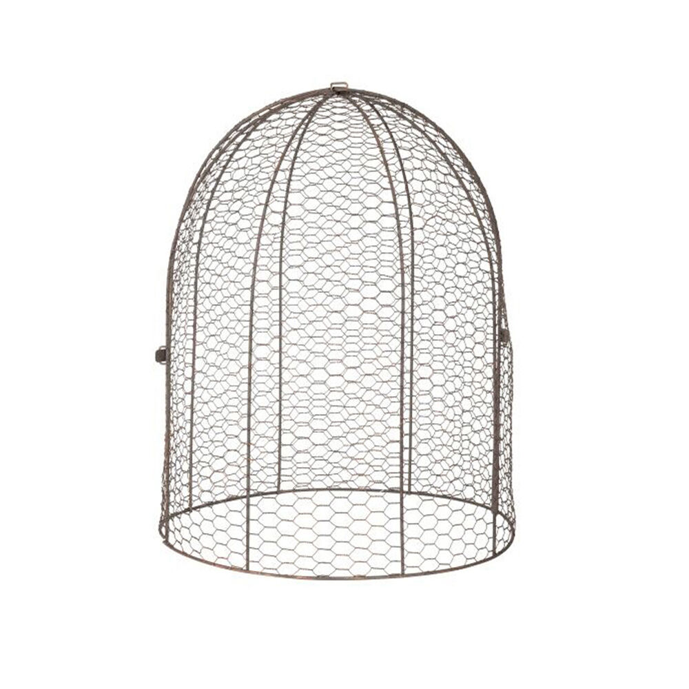 /assets/full/31020.jpg?20250827153239