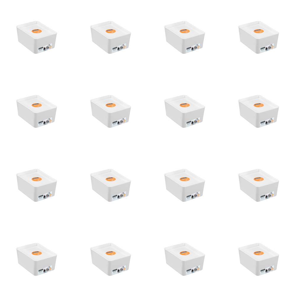 /assets/full/42172_16PK.jpg?20241106090144