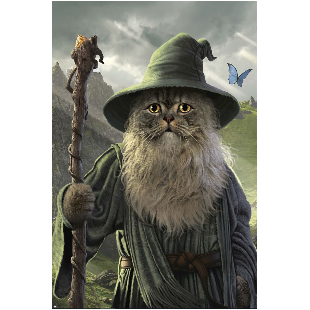 /assets/full/4869.jpg?20240402110609