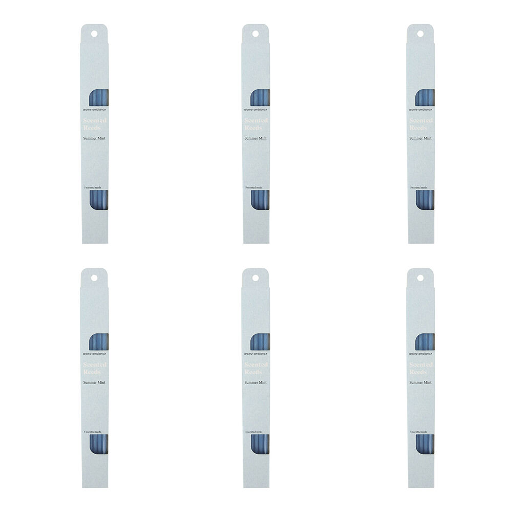 /assets/full/4965_6PK.jpg?20250424083146