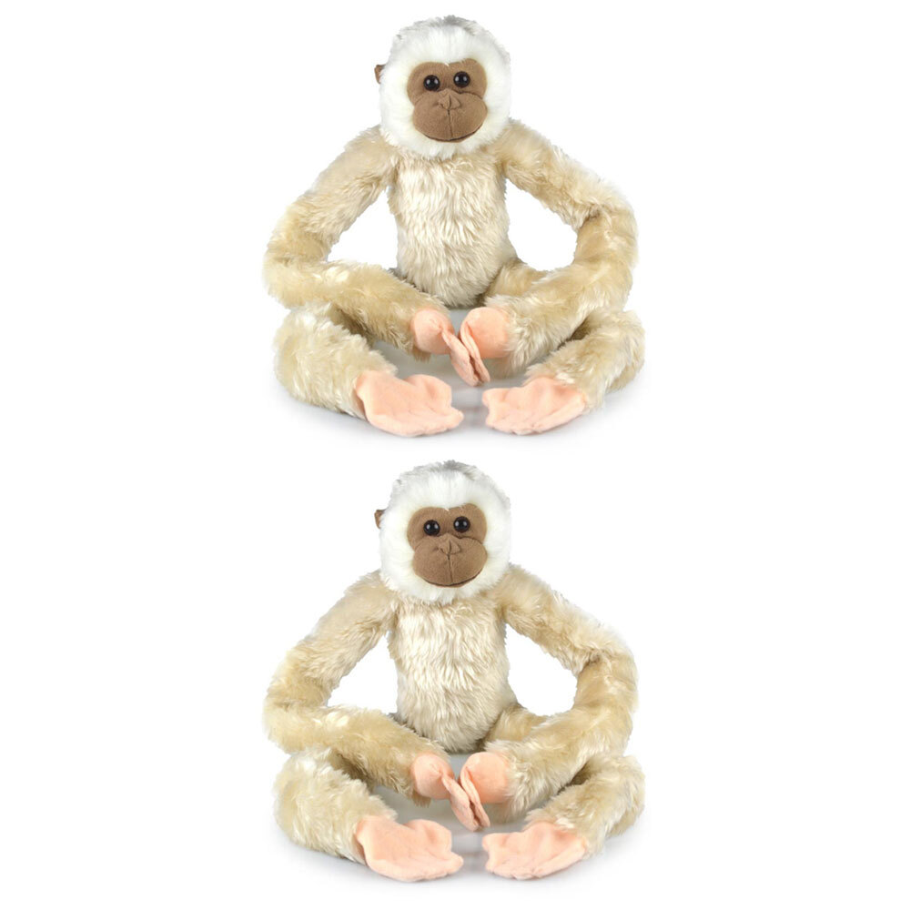 korimco sloth