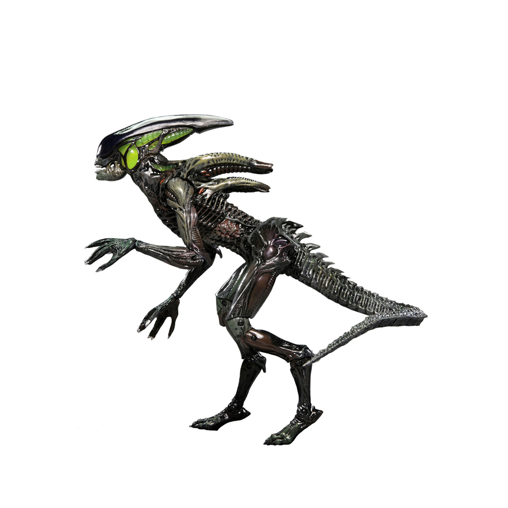 /assets/full/51713.jpg?20240529111038