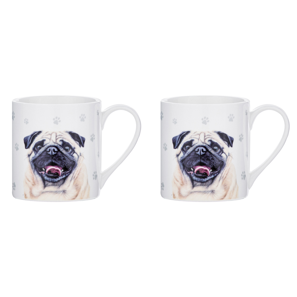 /assets/full/521582_2PK.jpg?20231019134552