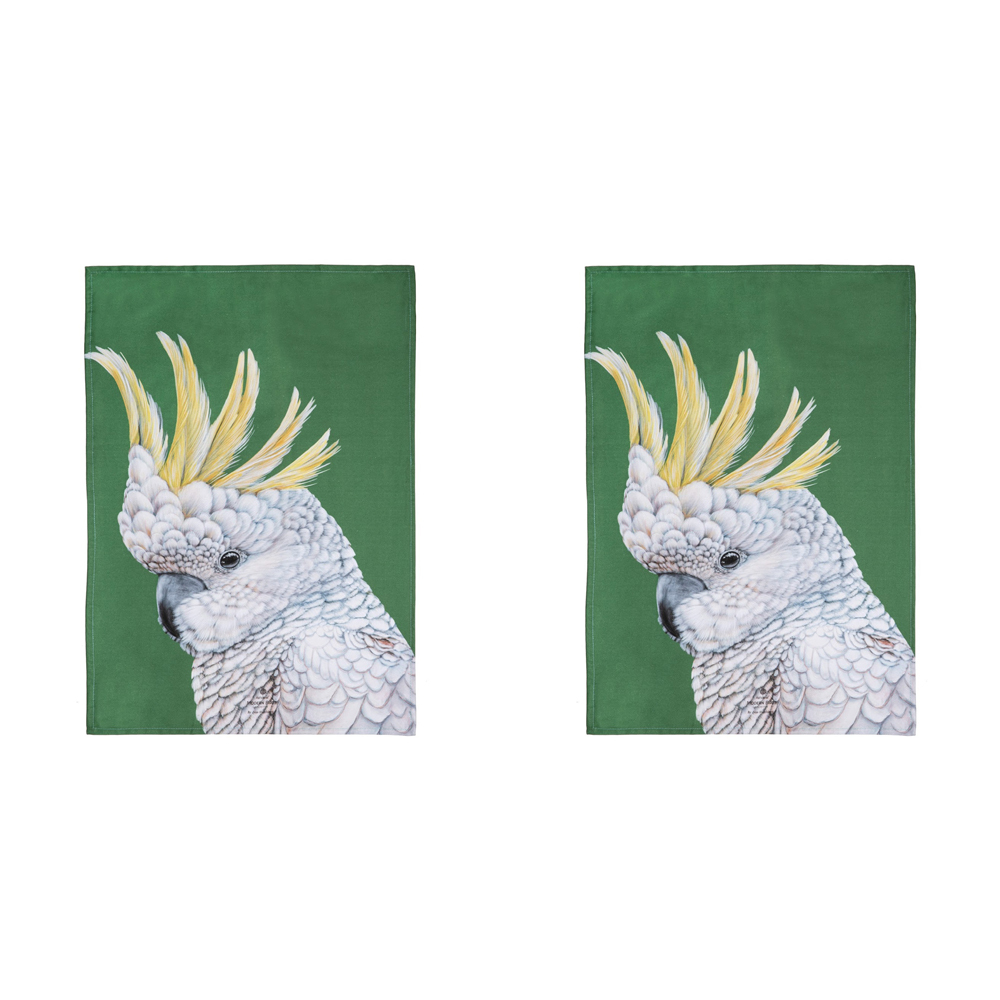 /assets/full/521871_2PK.jpg?20240308124546