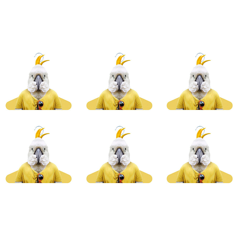 /assets/full/57ZCO_6PK.jpg?20250128084610