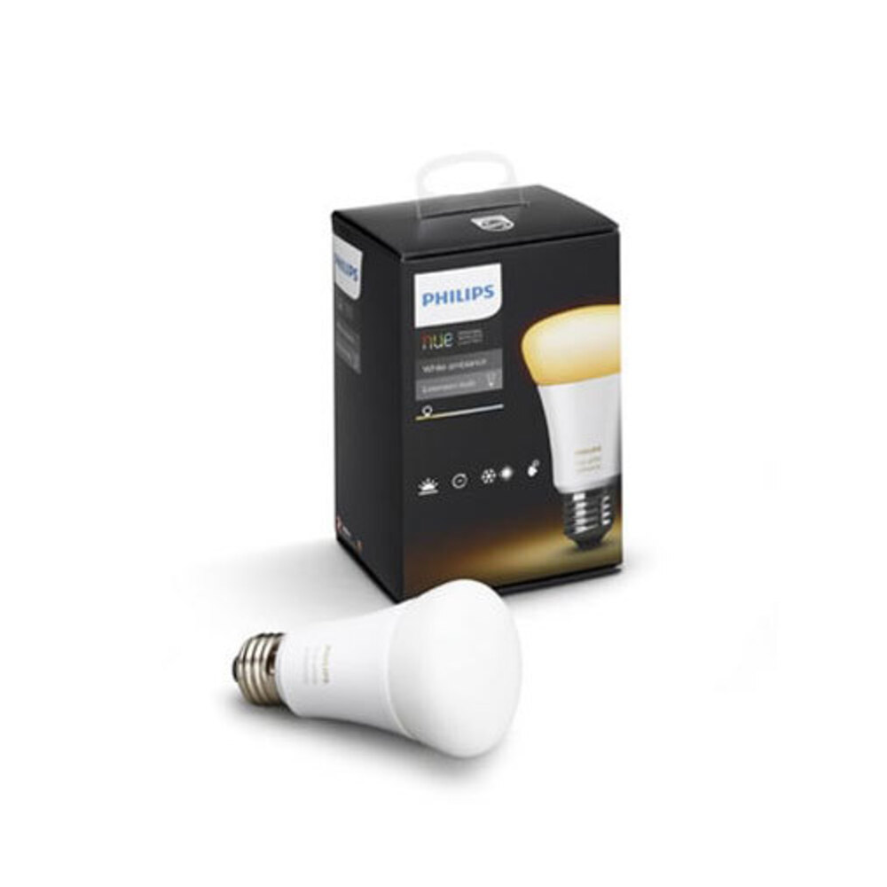 led globes