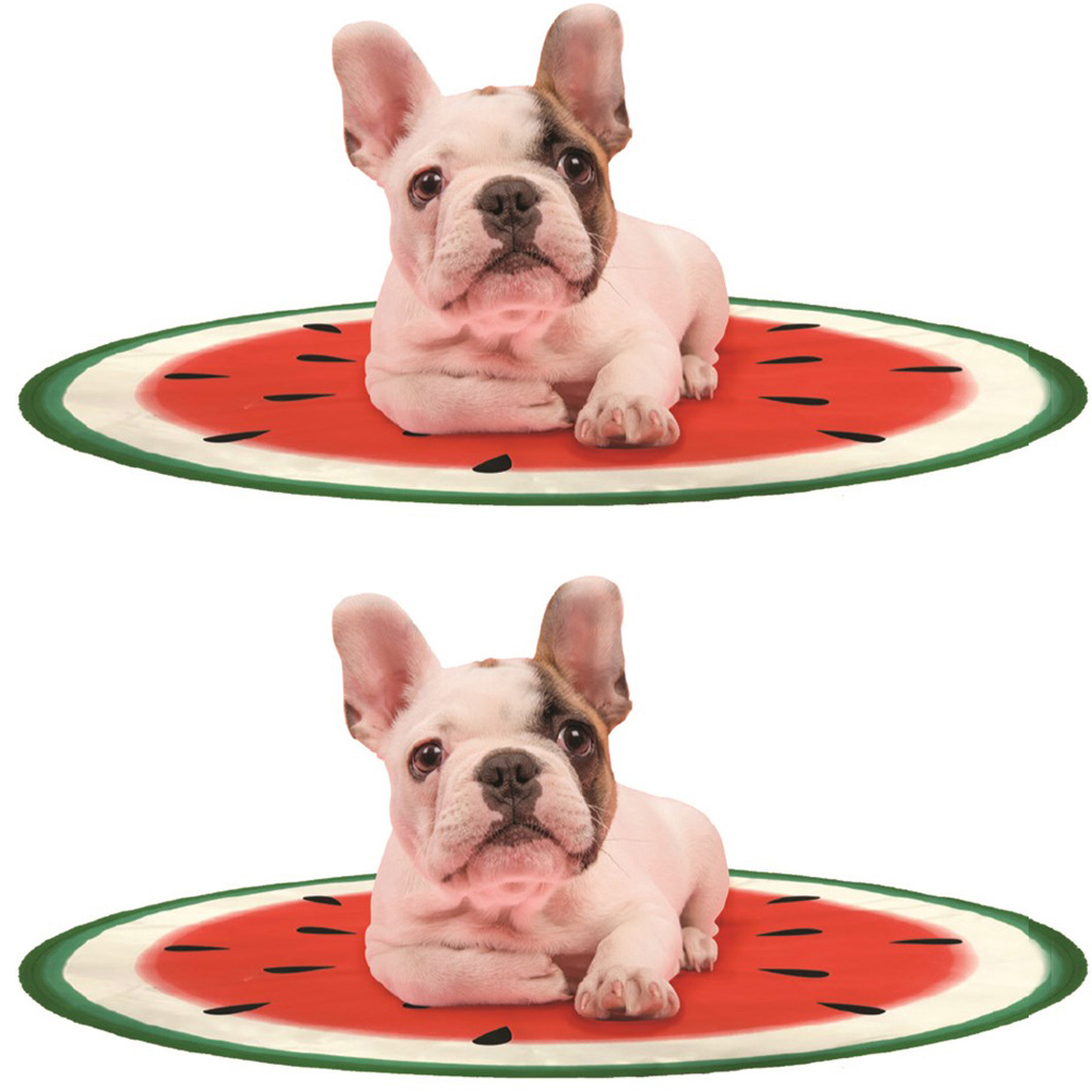 2PK Paws & Claws 60cm Pet Cooling Mat Watermelon Online KG Electronic