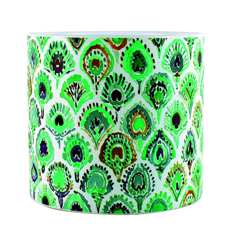 /assets/full/AD2004.jpg?20260225143655