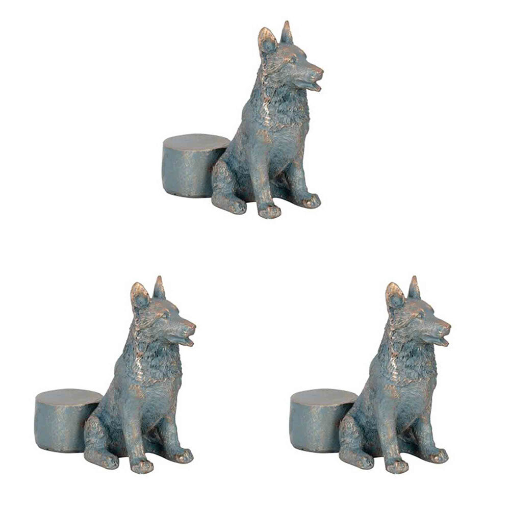 /assets/full/AG-30795_3PK.jpg?20250827170101