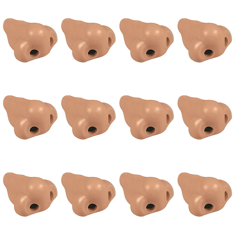 /assets/full/AM-12737_12PK.jpg?20250515131530