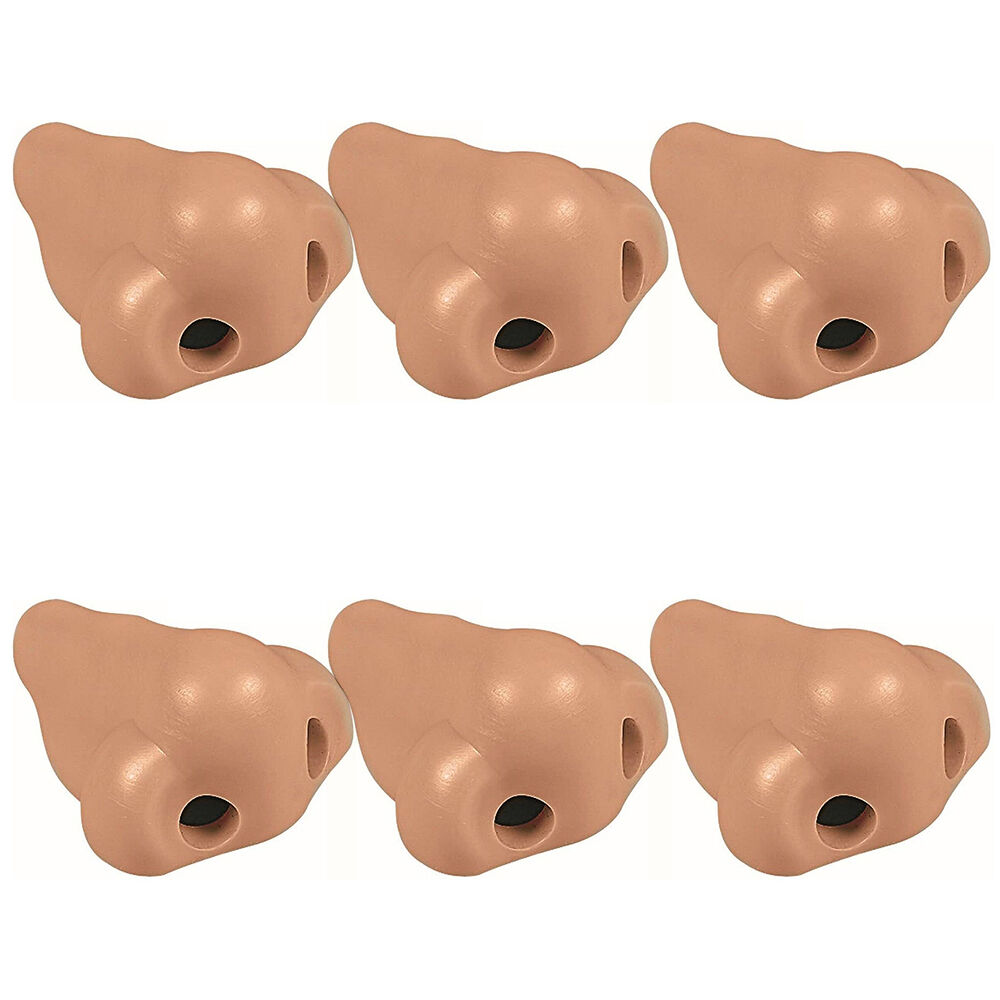 /assets/full/AM-12737_6PK.jpg?20250515131639