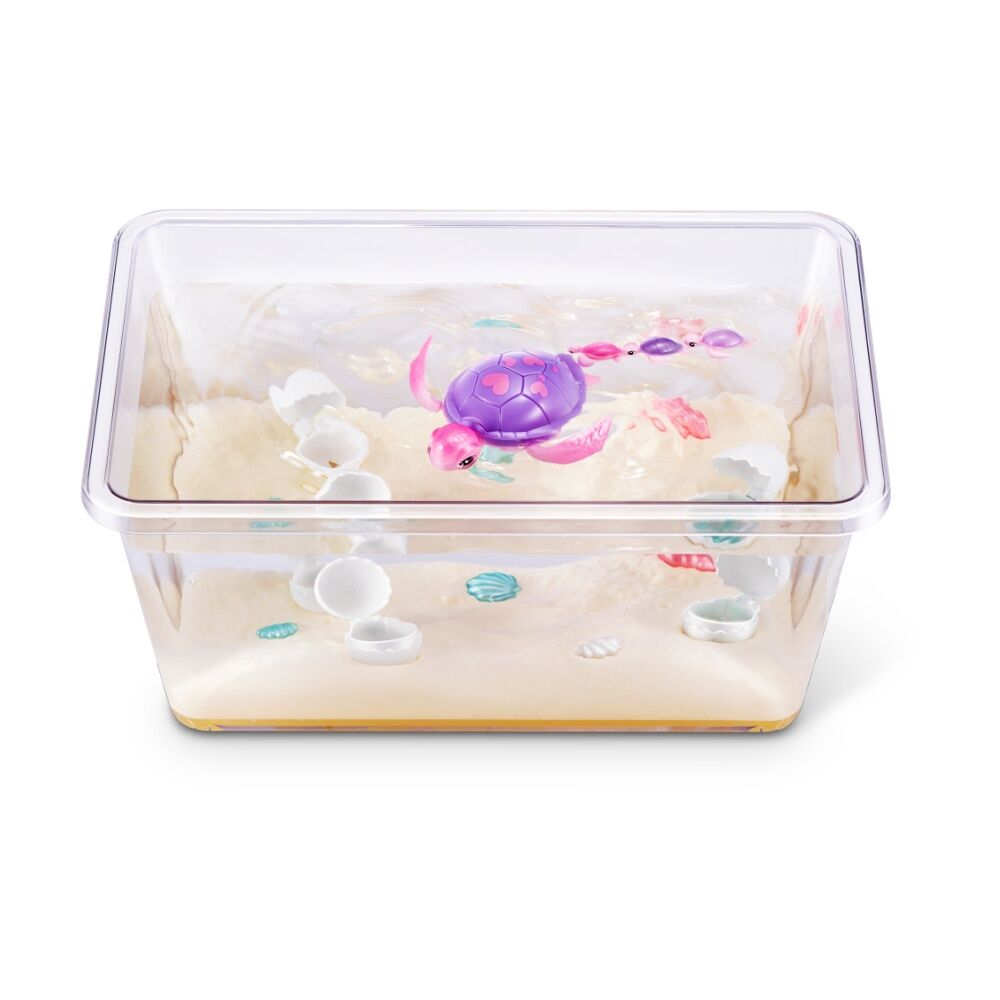 /assets/full/AZT9560.jpg?20251112172401