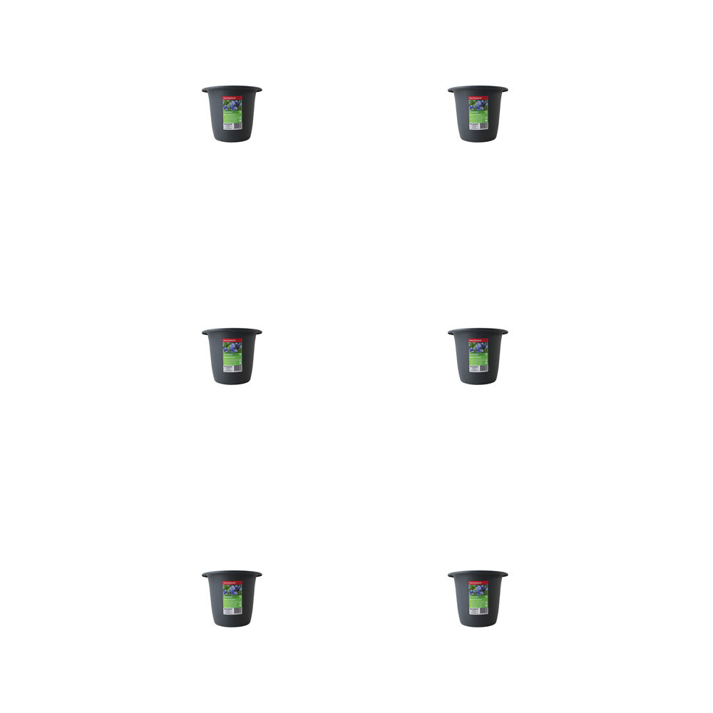 /assets/full/BALP2503_6PK.jpg?20240816130048